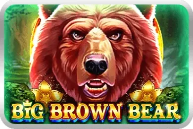 Big Brown Bear