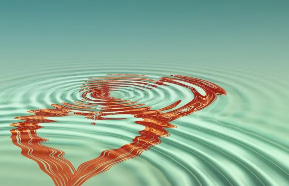 Rajbet Casino Support